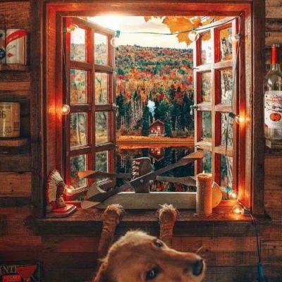 AG官方平台下载地址