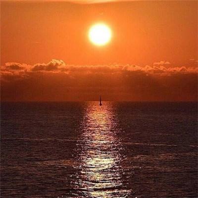 ag真人平台官方手机app下载