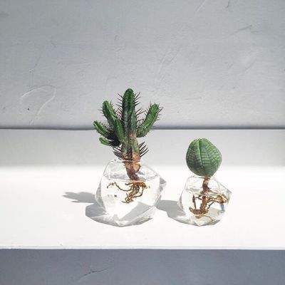 AG官方平台下载地址