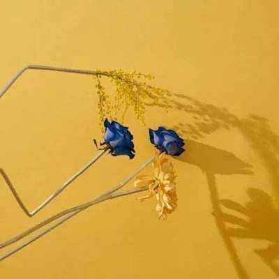 168极速赛车正规官方平台